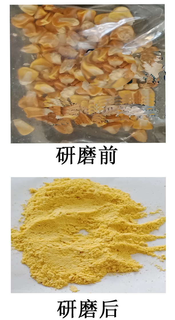 宣传删粉碎后的照片1.jpg