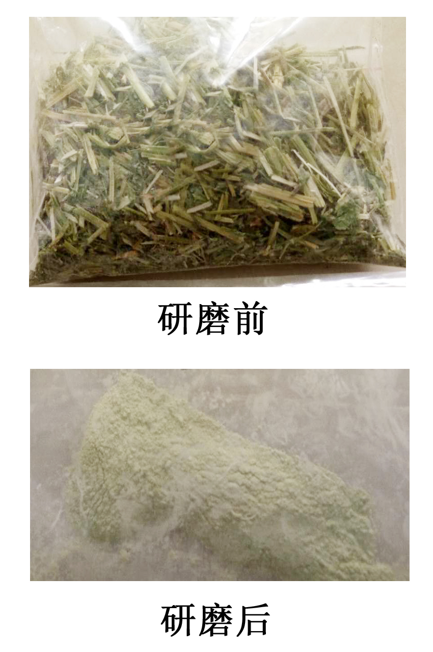 宣传删粉碎后的照片.jpg